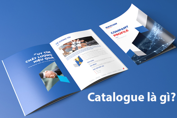 Trình bày nội dung catalogue như thế nào ?