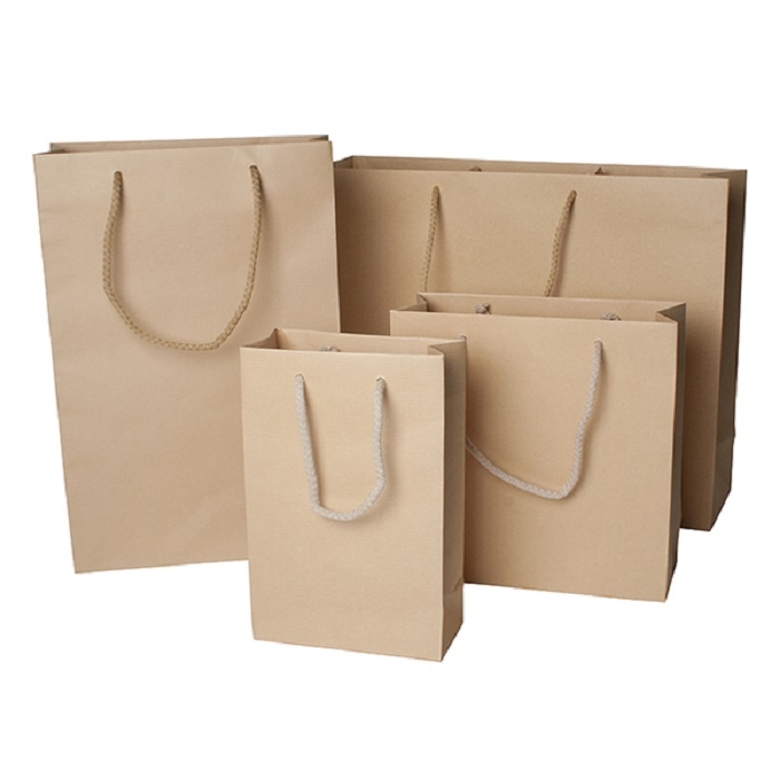 thiết kế và in ấn túi giấy kraft - hình 2